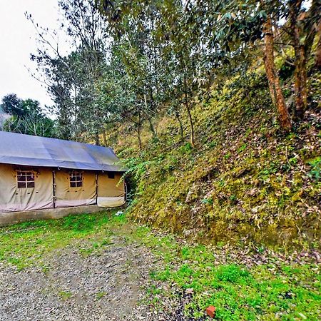 Oyo 29888 Nature Treat Hotel Chail Bagian luar foto