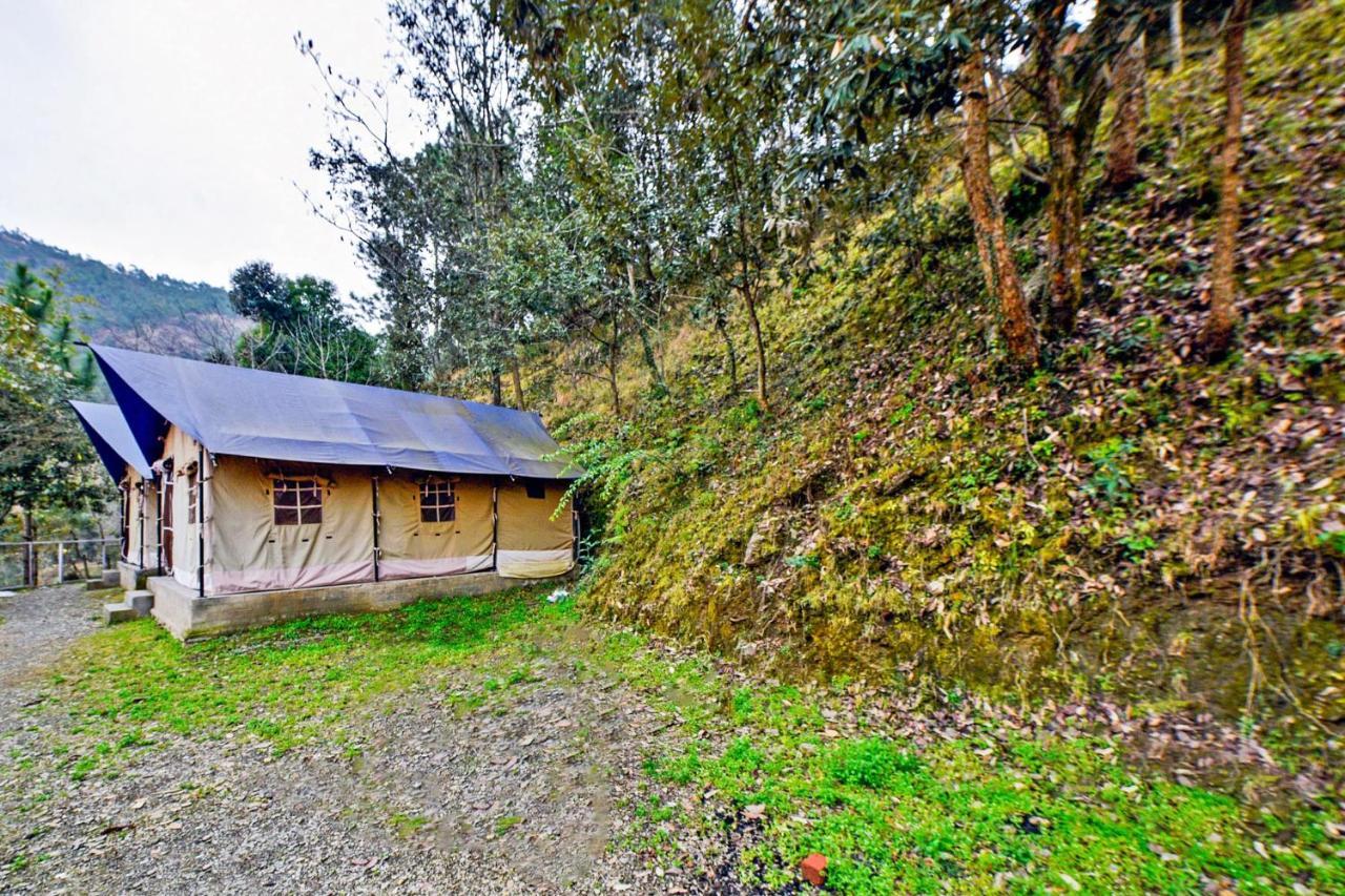 Oyo 29888 Nature Treat Hotel Chail Bagian luar foto